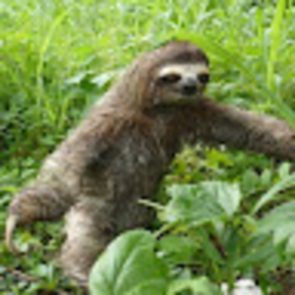 Meet your Posher, Jessi - Picture 1 of 1